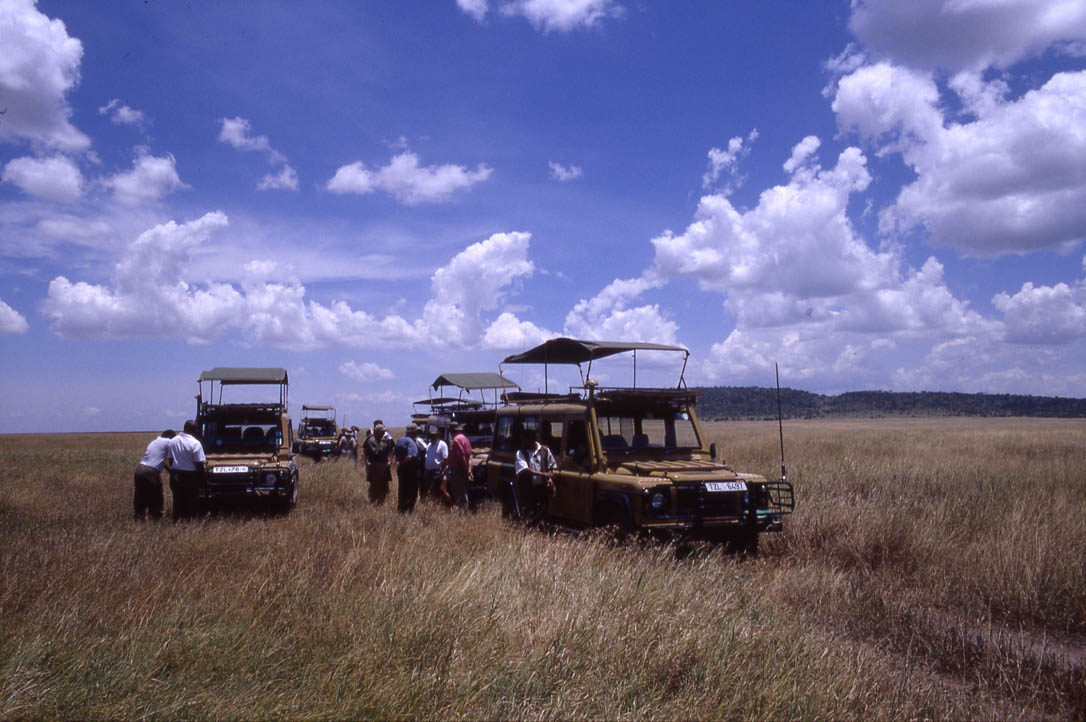 Serengeti: Tire Stop