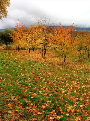 Serra da Estrela ... 02