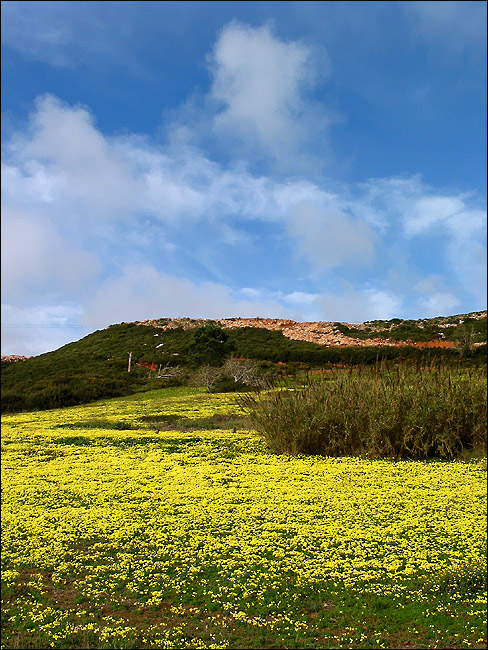 Colors in nature ... 03