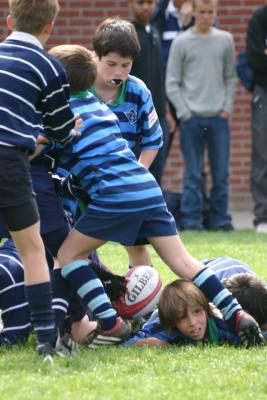 IMG_3164.jpg