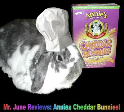 Wally Reviews Annies Cheddar Bunnies!