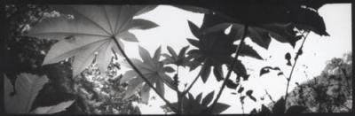 u44/primrose_park_ph/medium/28416014.ParkinPrimrose.jpg