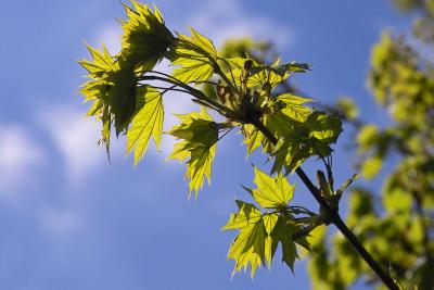 IMG01053.jpg