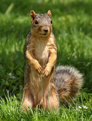 Stand Tall!