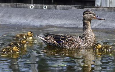 We love to swim!