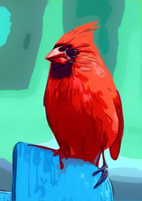 Cardinal