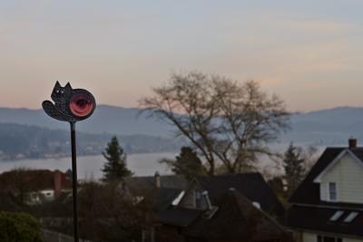View05-2-26pm.jpg