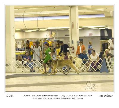 atlanta_asdca05.jpg