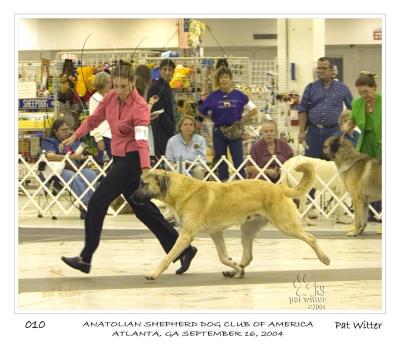 atlanta_asdca10.jpg