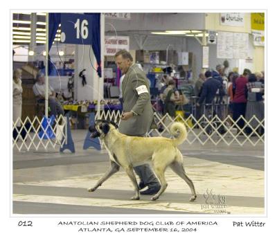 atlanta_asdca12.jpg