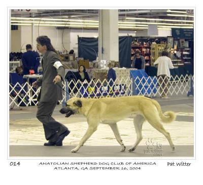 atlanta_asdca14.jpg