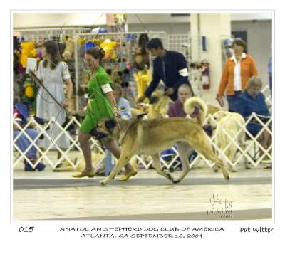 atlanta_asdca15.jpg