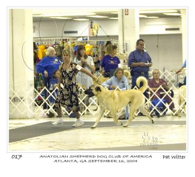 atlanta_asdca17.jpg
