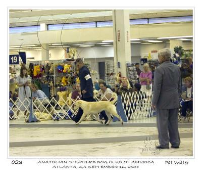 atlanta_asdca23.jpg
