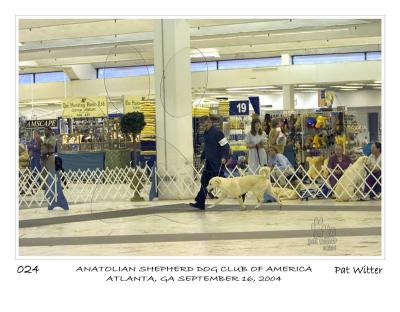 atlanta_asdca24.jpg