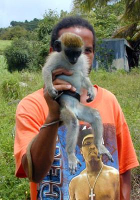Man & Monkey