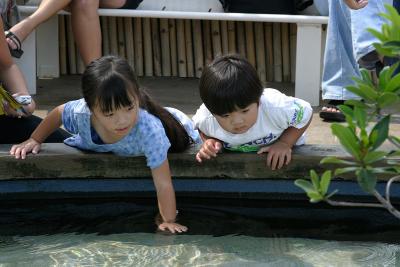 u44/realkuhl/medium/34358331.LB_Aquarium43.jpg