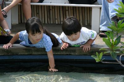 Touching Pool #1