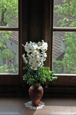 Blumen am Fenster