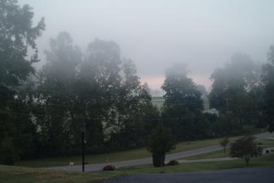 One foggy day...
