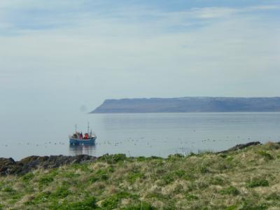 2004-06-01 014.JPG