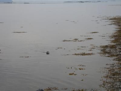 2004-06-01 024.JPG