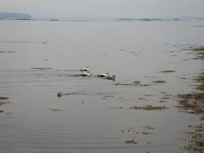 2004-06-01 025.JPG