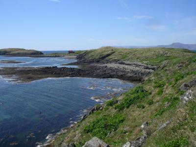 2004-06-01 052.JPG