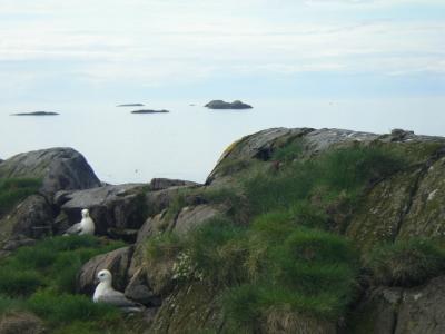 2004-06-01 065.JPG