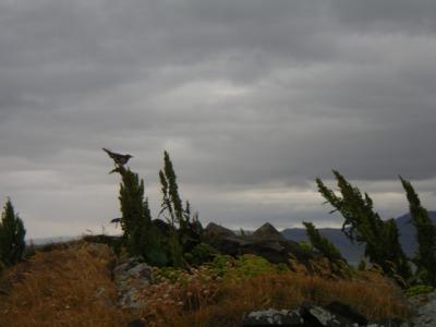 2004-08-03 114.JPG
