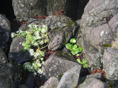 2004-08-03 164.JPG