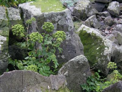 2004-08-03 179.JPG