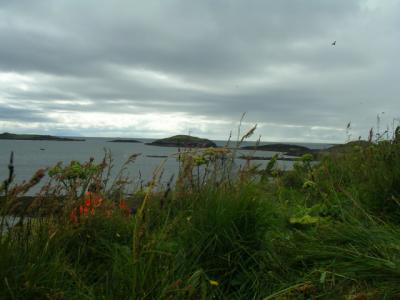 2004-08-03 230.JPG