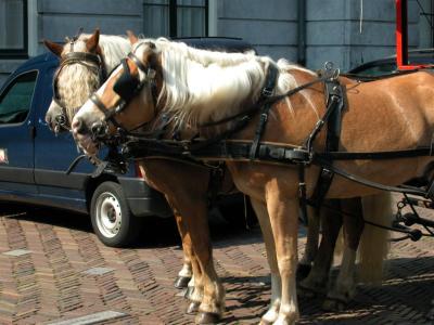 2004-09-03 12-54-20.jpg