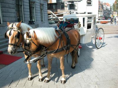 2004-09-03 12-58-36.jpg