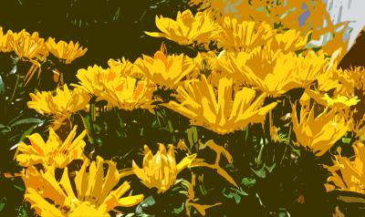 jflower3.jpg
