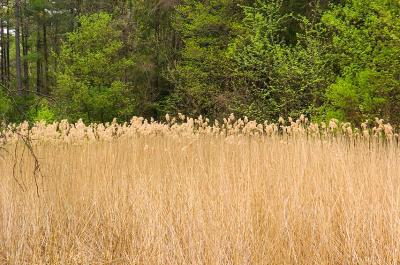040430dsc_7967.jpg