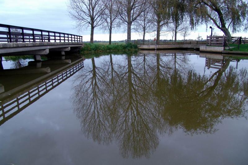 Tree reflections beside bridge