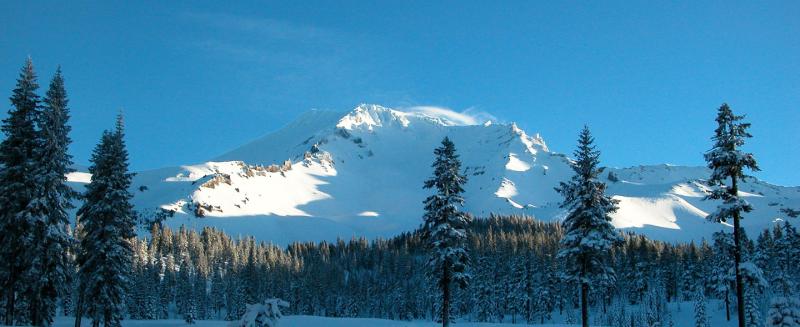 Mount Shasta from Bunny Flat