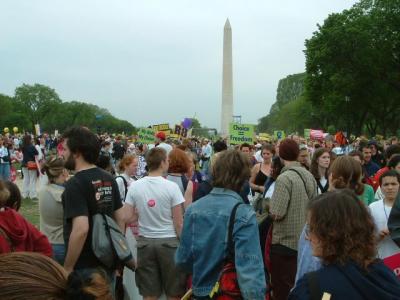 Massing on the  mall