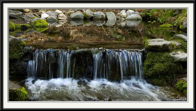 1558-Fern-Spring.jpg
