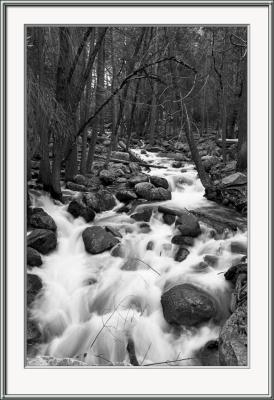 6228-Spring-Flow-BW.jpg