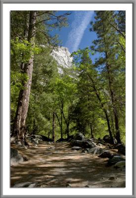 0291 Path to the Lake jpeg.jpg