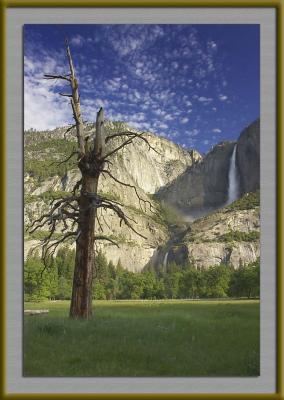 0705 Majestic Meadow.jpg