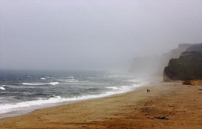 1022 Coastal fog.jpg