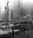 Seaport Fog