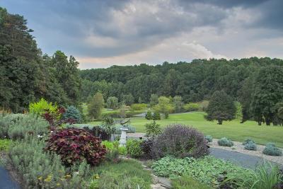 Vista view, Meadowlark Gardens, VA IMG00017.jpg