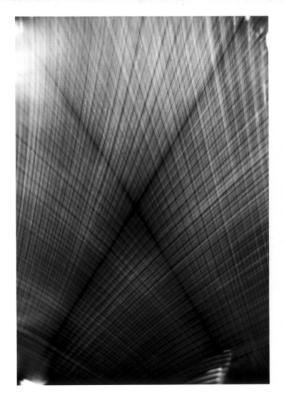 eholga1.jpg