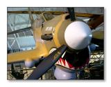 <b>Curtiss P40 Warhawk  </b><i>Lopes Hope</i><br><font size=2>Smithsonian Udvar-Hazy Center,<br>Virginia