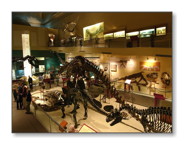 <b>The Dinosaur Room</b><br><font size=2>Smithsonian Natural History Museum,<br>Washington, D.C.